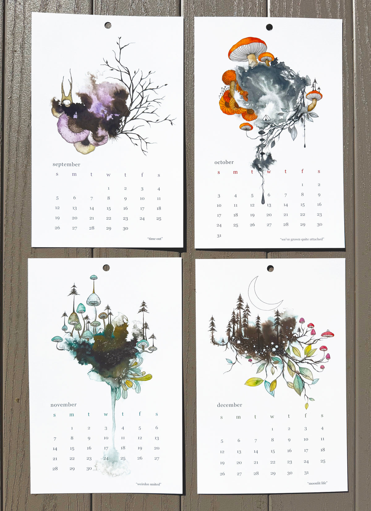 2027 Limited Edition Calendar
