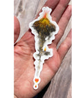 blazing a trail - sticker