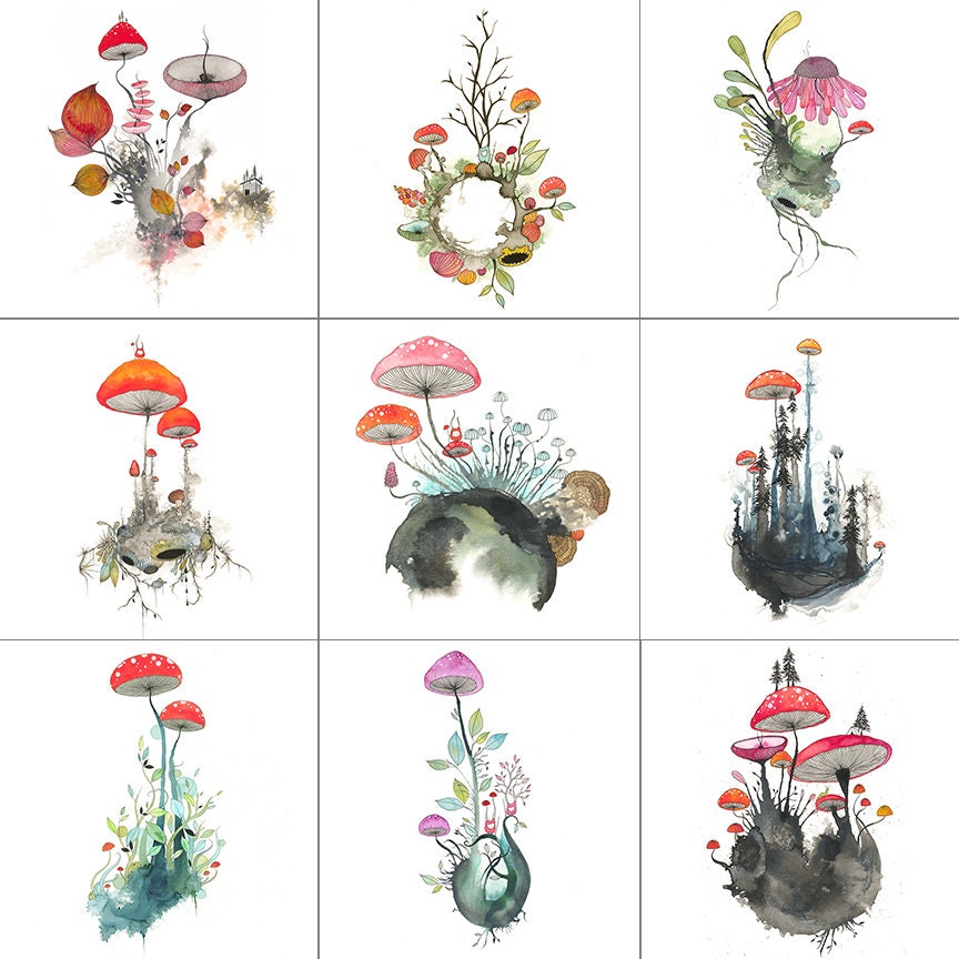 mushroom lover - note card bundle