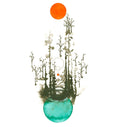 floating on air - note card