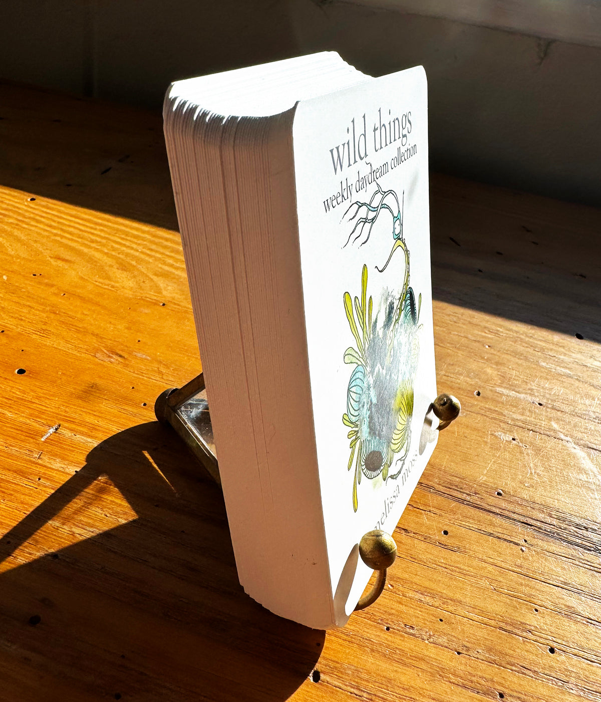 Limited-Edition Weekly Daydream Card Set - "wild things" collection