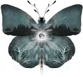 our life under the stars - 13" x 19" archival print