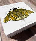 Limited Edition Weekly Daydream Card Set - "perfect harmony" collection