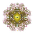 honeymoon - print