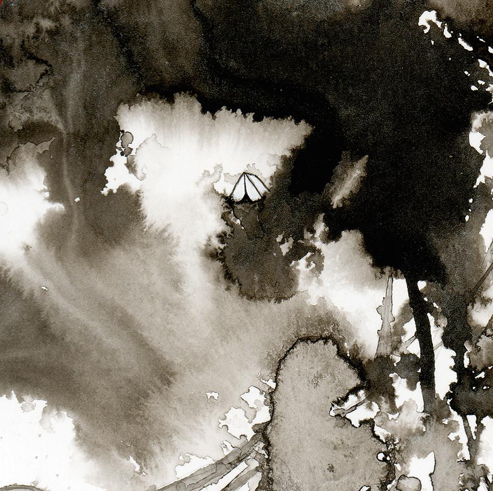 we dream in trees - 13 x 19 archival print